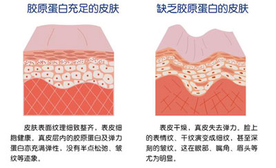 黄色视频免费观看网站仪