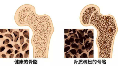 黄色视频免费观看网站仪