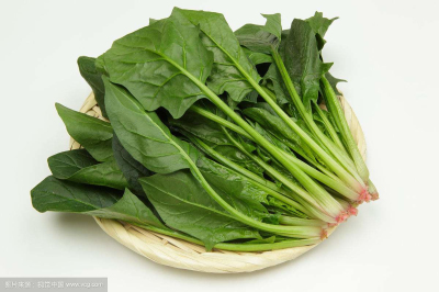 黄色视频免费观看网站仪
