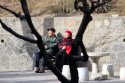 黄色视频免费观看网站仪叮嘱“别只顾着补钙，还要每天多晒晒太阳！”