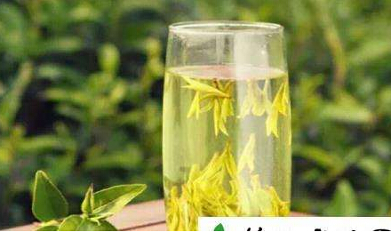 黄色视频免费观看网站仪器阐述喝茶能够增加黄色视频免费观看网站,前提是您要会喝茶