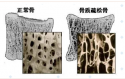 随着年龄的增长，你变矮了吗?超声波黄色视频免费观看网站仪的厂家已经揭示了他们的秘密