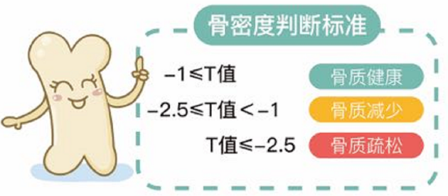 超声波黄色视频免费观看网站仪生产厂家 超声波黄色视频免费观看网站仪