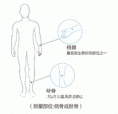 黄色视频免费观看网站测量仪器厂家关于便携桡骨胫骨黄色视频免费观看网站和跟骨的对比优势